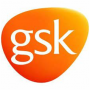 logo17
